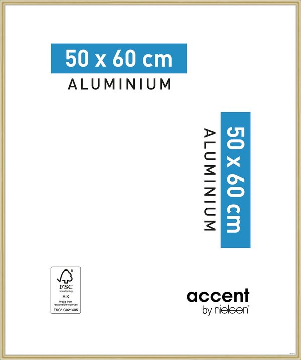 Accent Aluminium 50x60 Guld