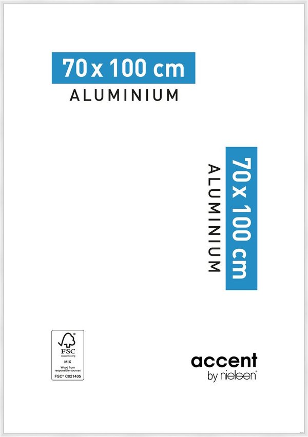 Accent Aluminium 70x100 Vit