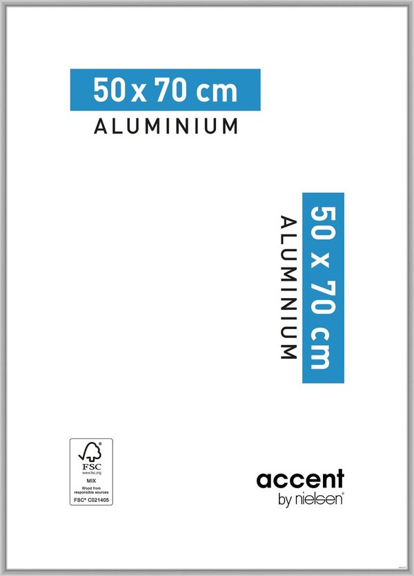 Accent Aluminium Silver matt 50x70 cm